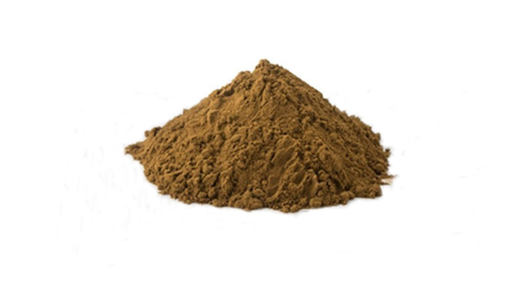 Elderberry Extract