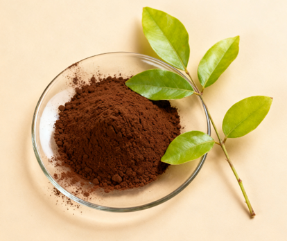 Gymnema sylvestre leaf extract 2.png
