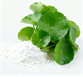 Centella Asatica Extract 