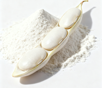 Lablab Semen Album Extract