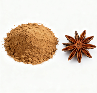 Anisi Stellati Fructus Extract