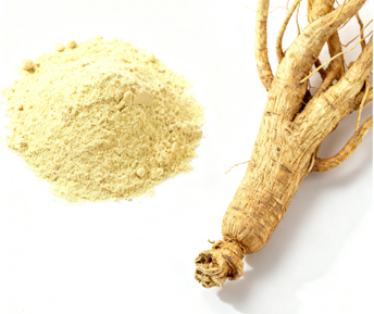 Astragalus Extract