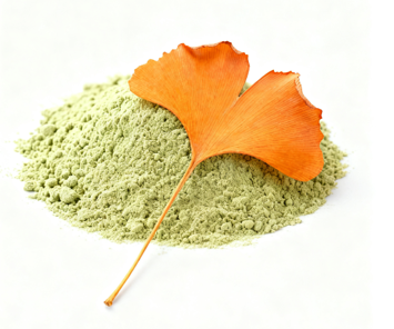 Ginkgo Biloba Leaf Extract
