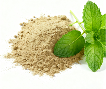 Menthae Haplocalycis Herba Extract